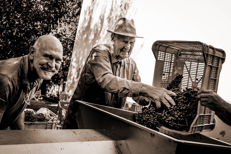 storia-roberto-podere-casaccia-azienda